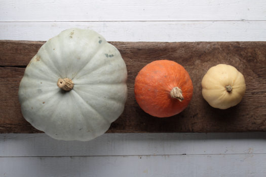 whole pumpkin selection